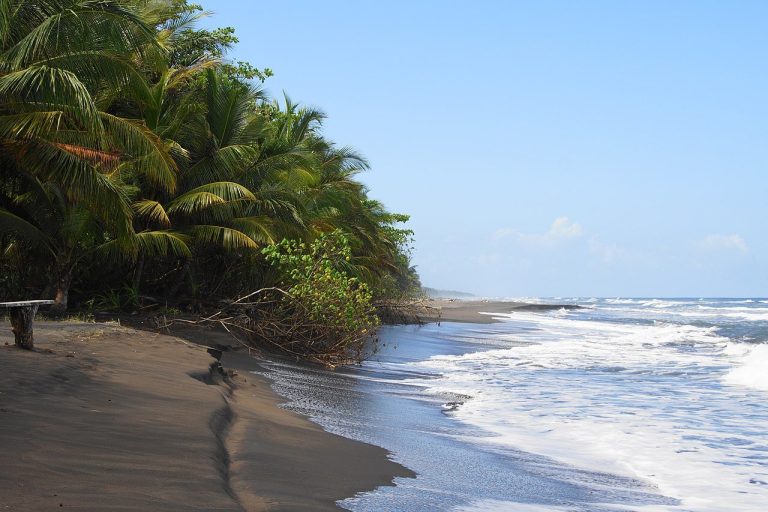 Sports volunteering in Costa Rica